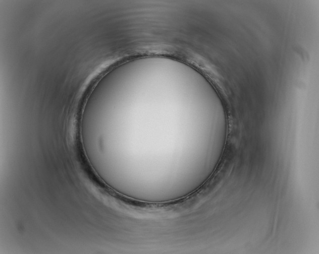 X0000113270012200910011438