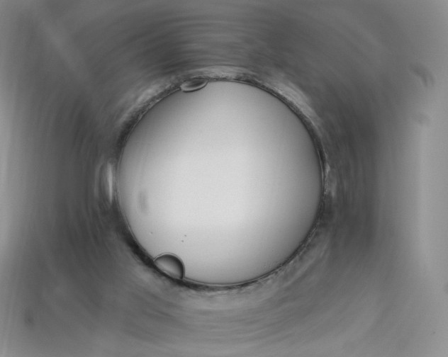 X0000113270013200910011438