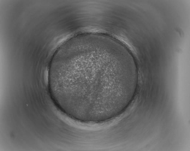 X0000113270014200910011438