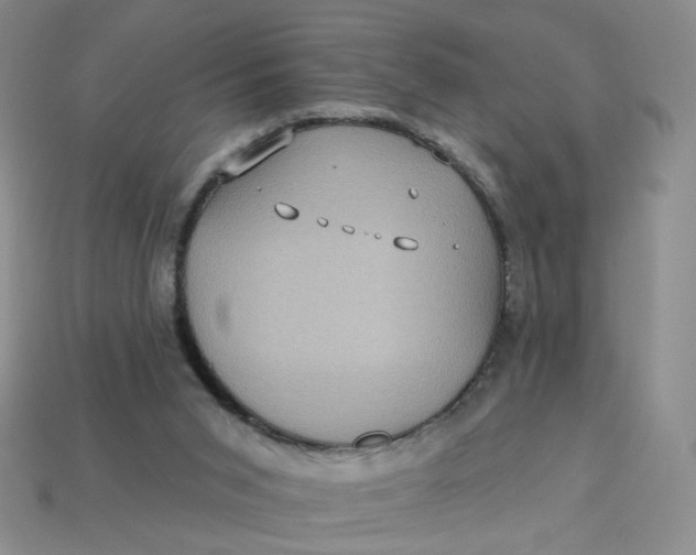 X0000113270015200910011438