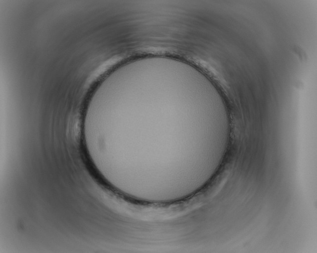 X0000113270016200910011438