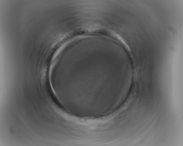 X0000113270018200910011438