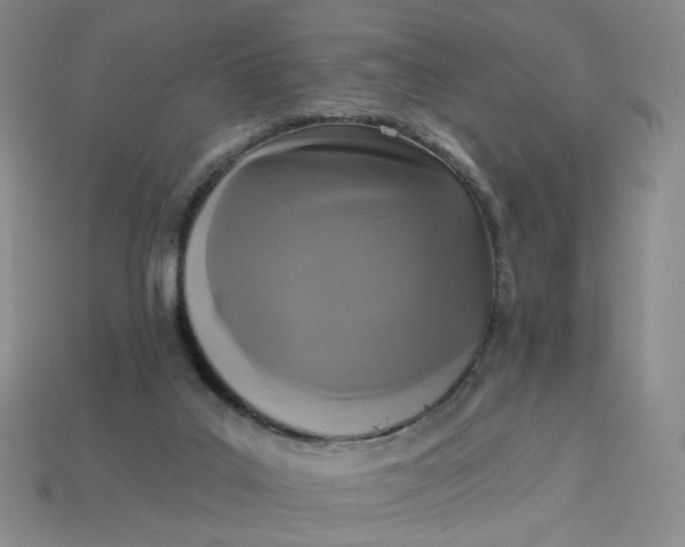 X0000113270019200910011438