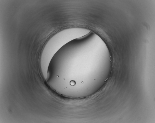 X0000113270021200910011438