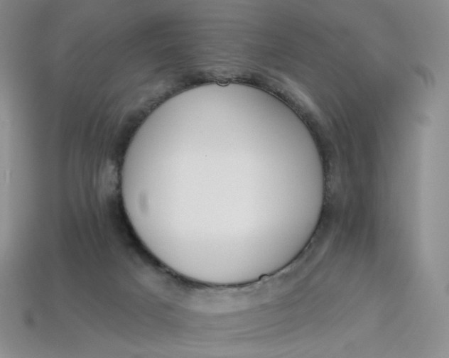 X0000113270025200910011438