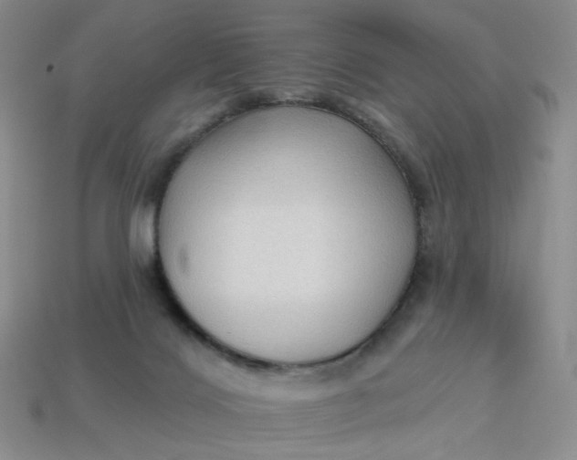 X0000113270028200910011438