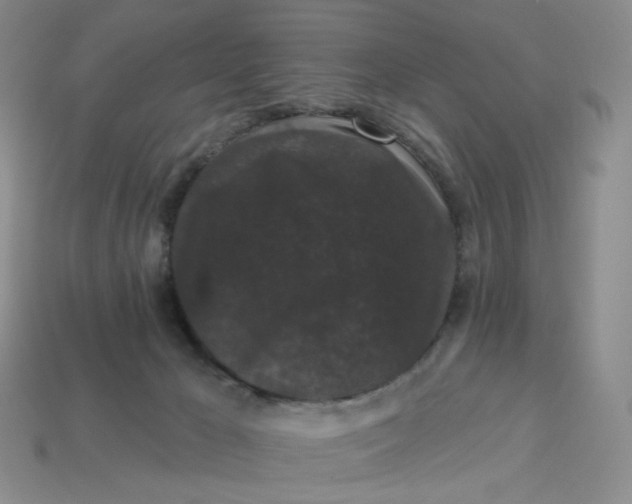 X0000113270029200910011438