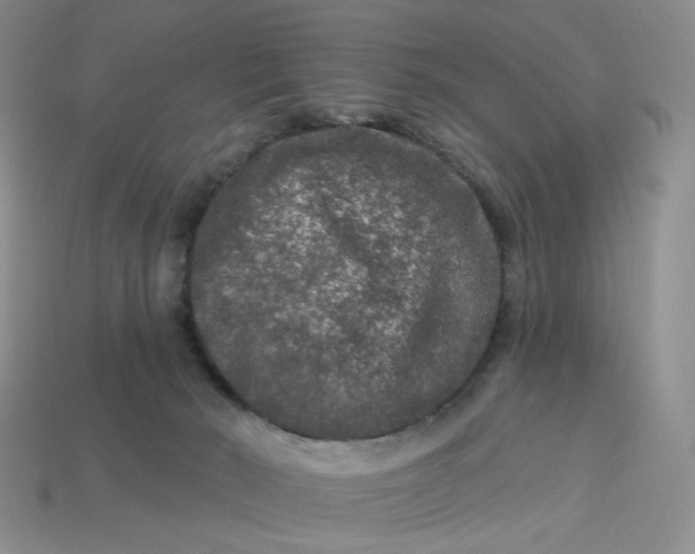 X0000113270030200910011438