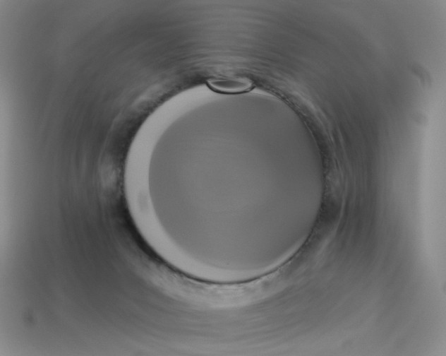 X0000113270031200910011438