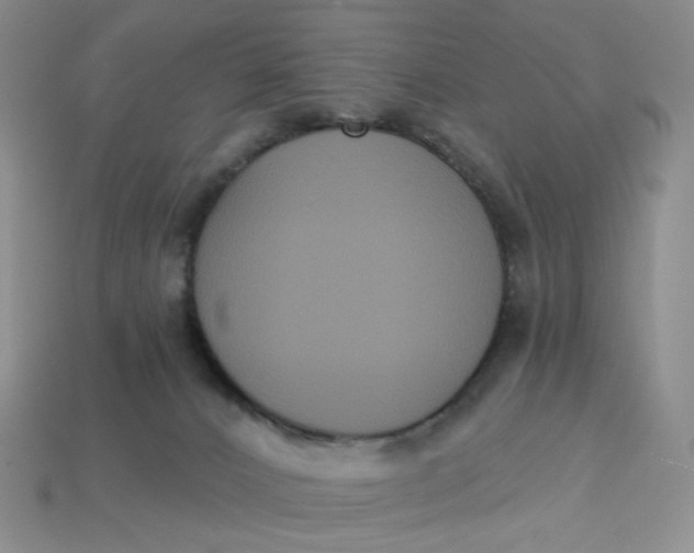 X0000113270032200910011438