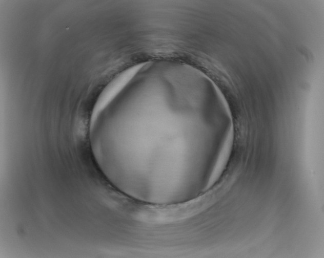 X0000113270033200910011438