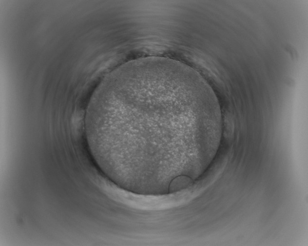 X0000113270034200910011438