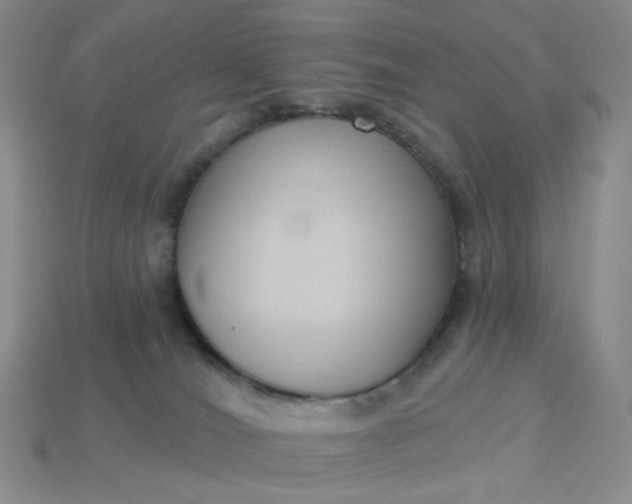 X0000113270036200910011438