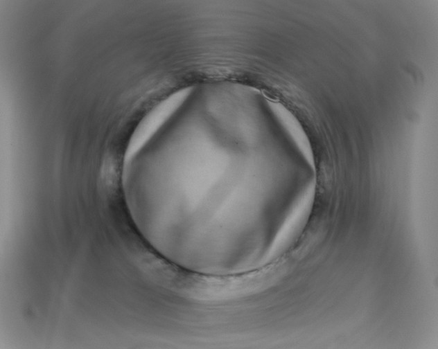 X0000113270037200910011438