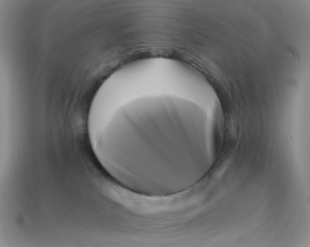 X0000113270039200910011437