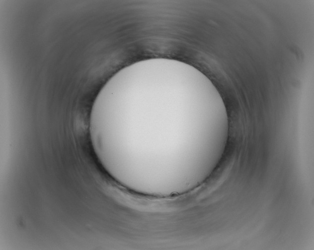 X0000113270040200910011437