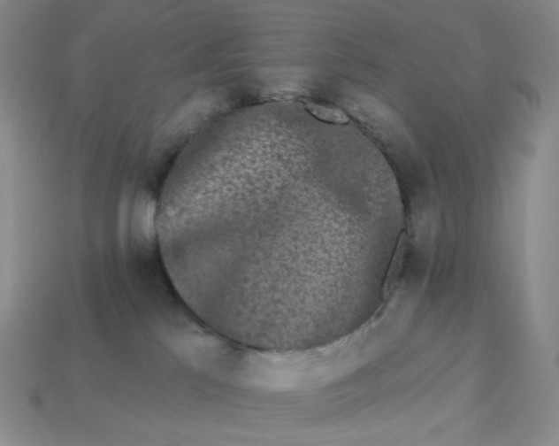 X0000113270041200910011437