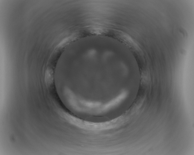 X0000113270043200910011437