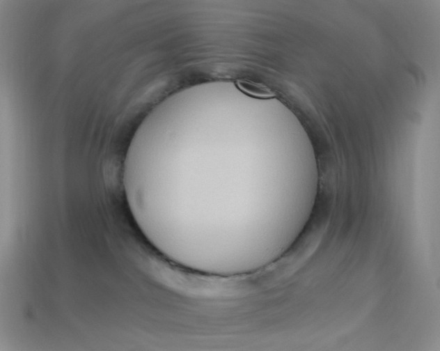 X0000113270044200910011437