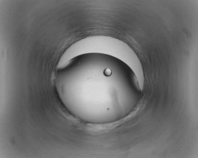 X0000113270045200910011437