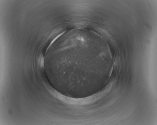 X0000113270046200910011437