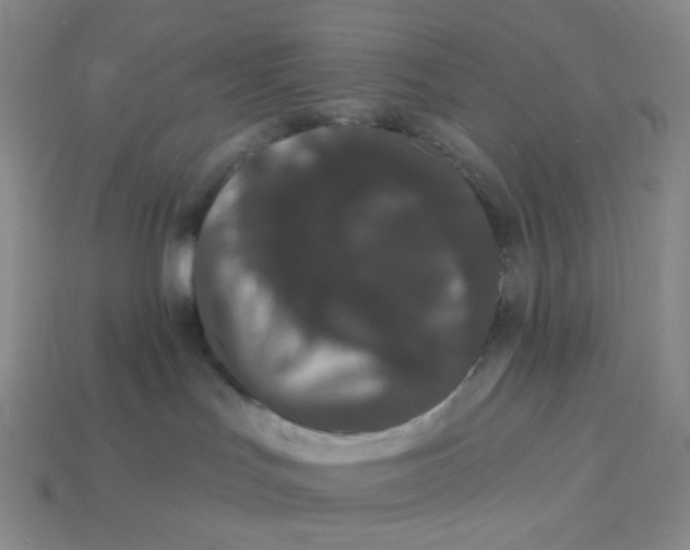 X0000113270047200910011437