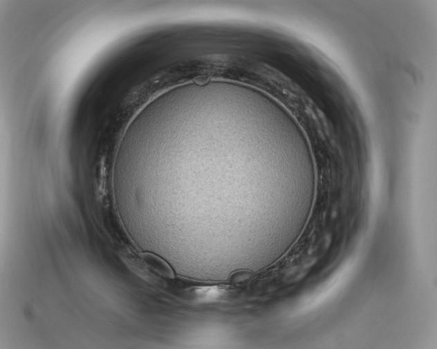 X0000113270050200910011437