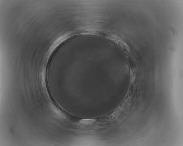 X0000113270051200910011437