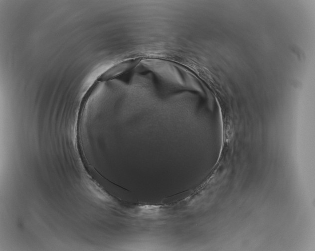 X0000113270052200910011437