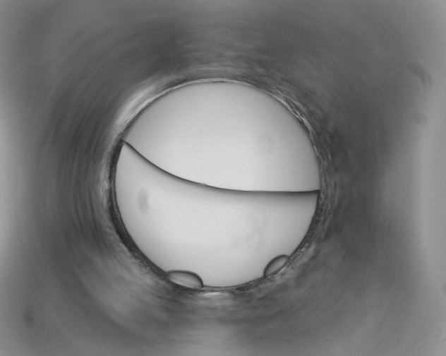 X0000113270053200910011437