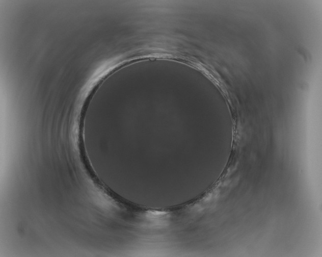 X0000113270055200910011437