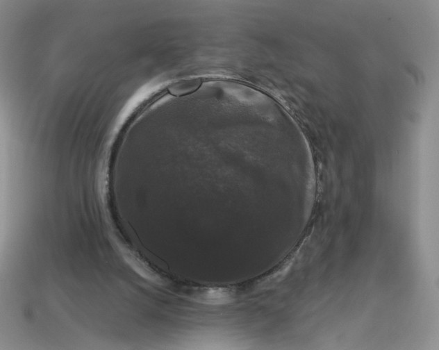 X0000113270056200910011437