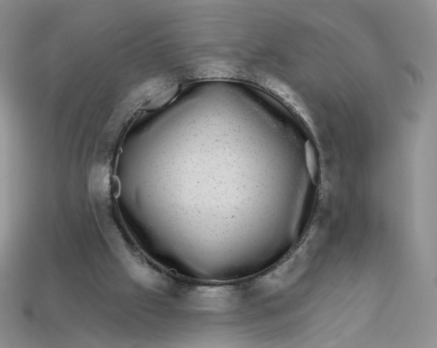 X0000113270057200910011437