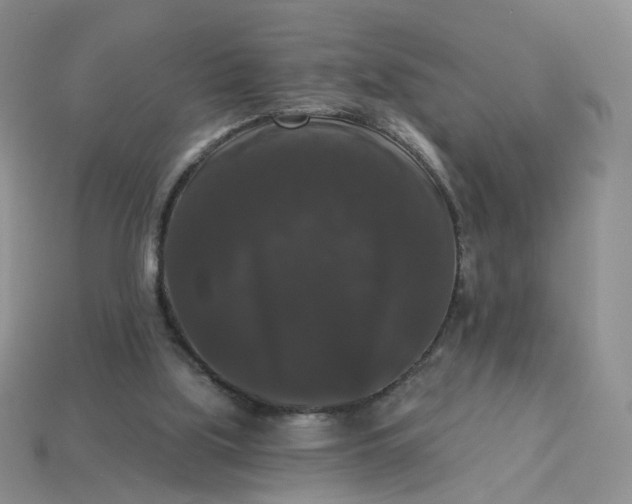 X0000113270059200910011437