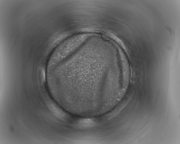 X0000113270061200910011437