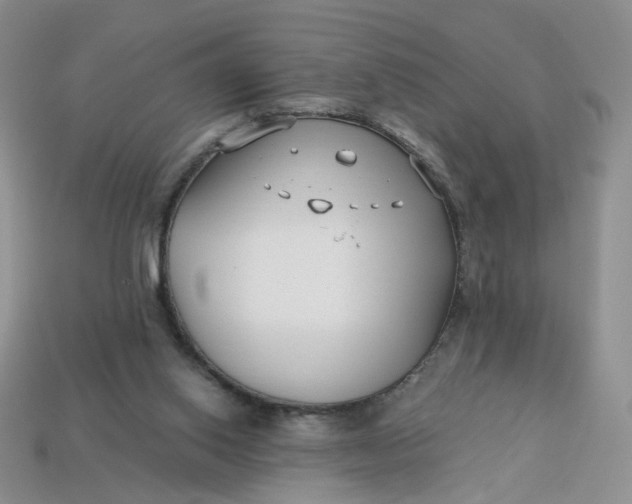 X0000113270062200910011437