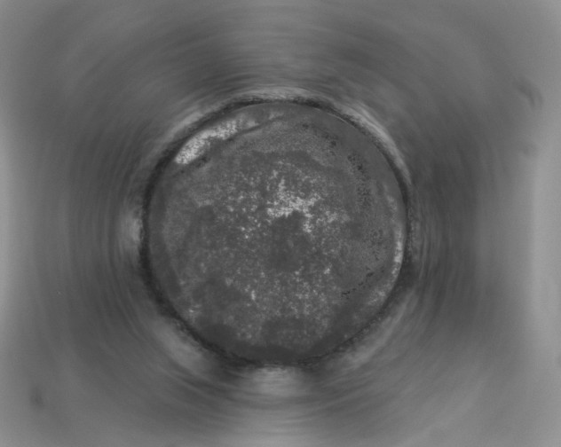 X0000113270063200910011437