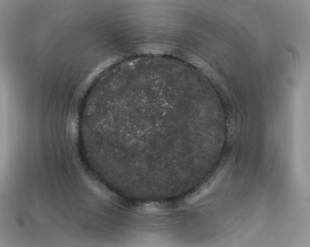 X0000113270064200910011437