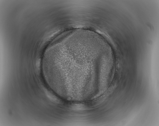 X0000113270066200910011437