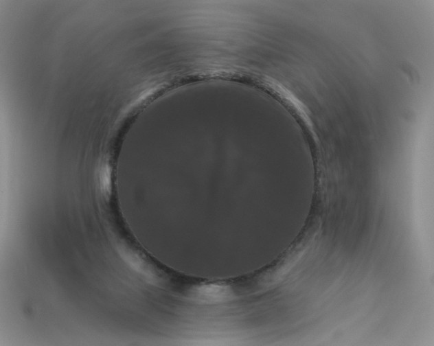 X0000113270067200910011437