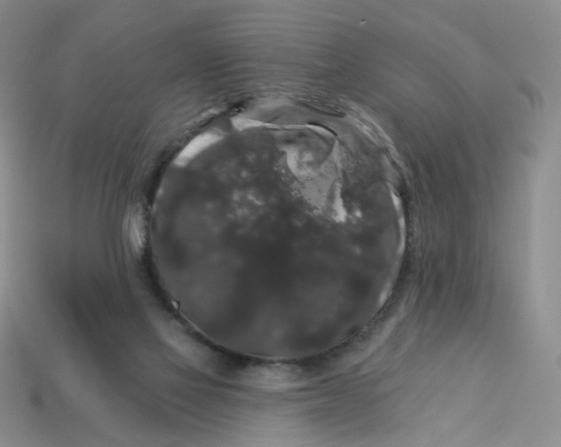 X0000113270069200910011437