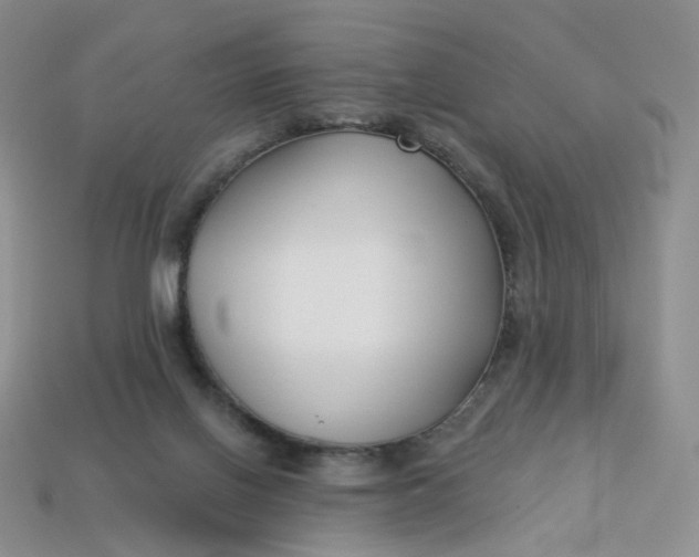 X0000113270070200910011437