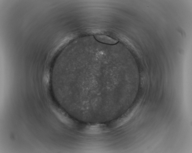 X0000113270072200910011437