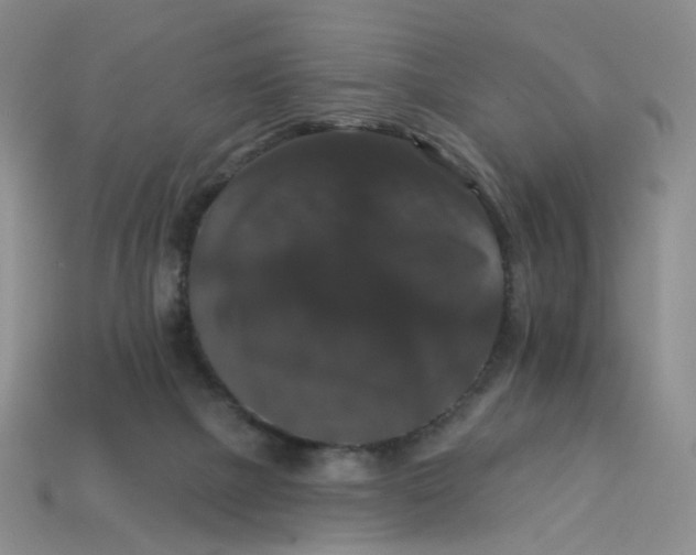 X0000113270073200910011437