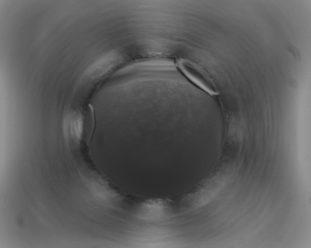 X0000113270076200910011437