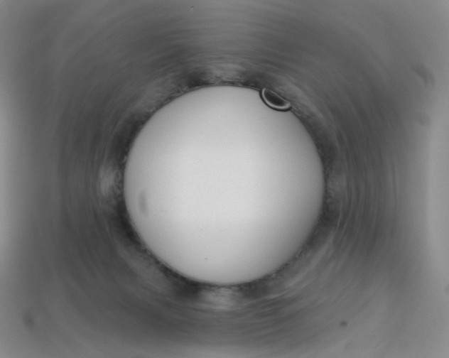 X0000113270079200910011437