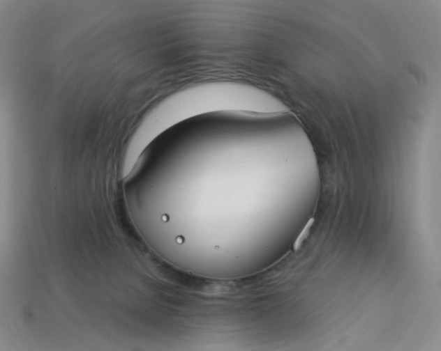 X0000113270080200910011437