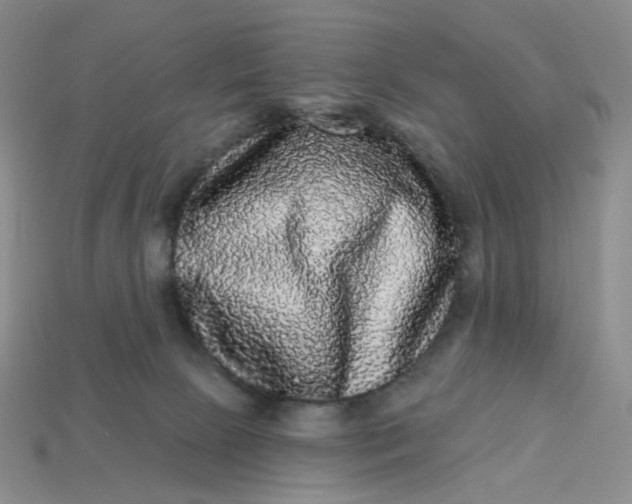 X0000113270081200910011437