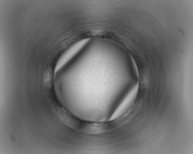 X0000113270082200910011437