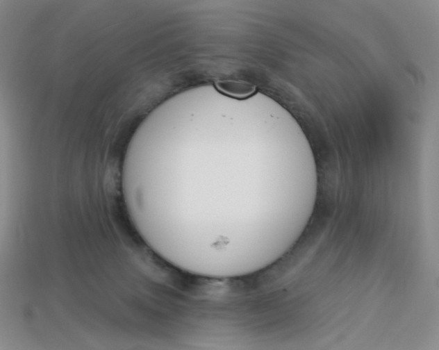 X0000113270083200910011437